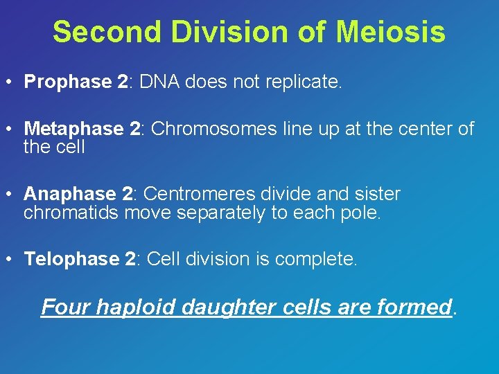 Second Division of Meiosis • Prophase 2: DNA does not replicate. • Metaphase 2: