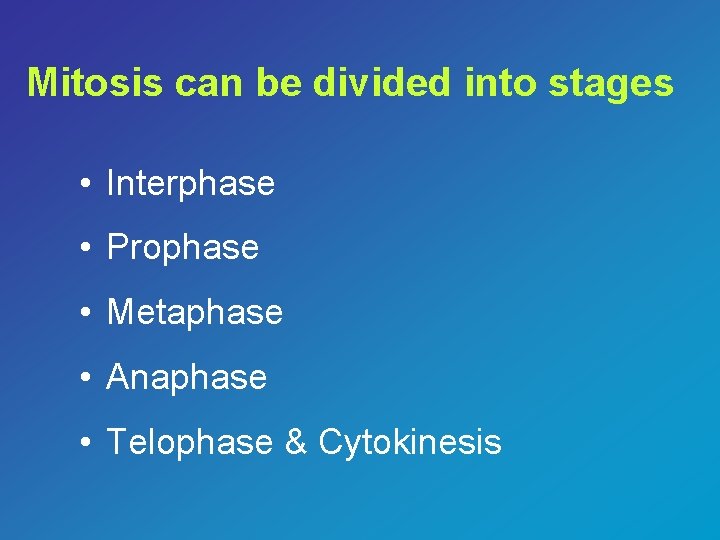 Mitosis can be divided into stages • Interphase • Prophase • Metaphase • Anaphase