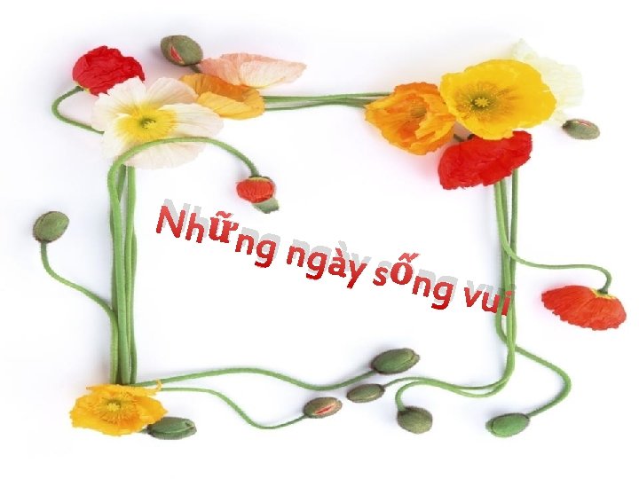 Nhữn g ngà y sống vui 