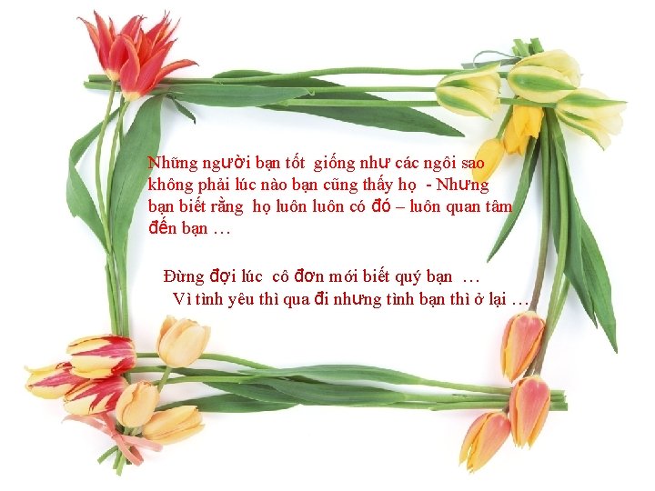 Những người bạn tốt giống như các ngôi sao không phải lúc nào bạn