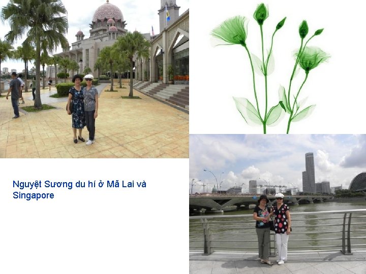 Nguyệt Sương du hí ở Mã Lai và Singapore 