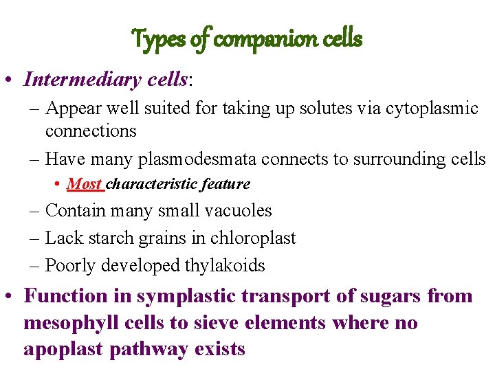 Types of companion cells • Intermediary cells: – Appear well suited for taking up