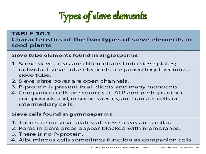 Types of sieve elements 