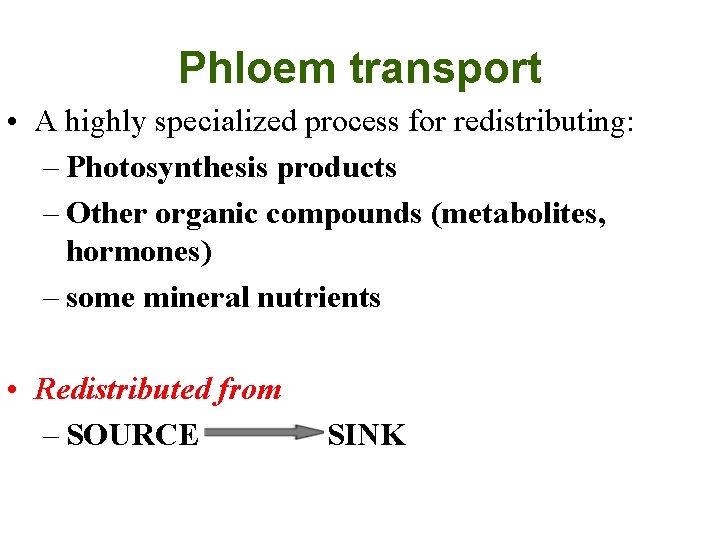 Phloem transport • A highly specialized process for redistributing: – Photosynthesis products – Other