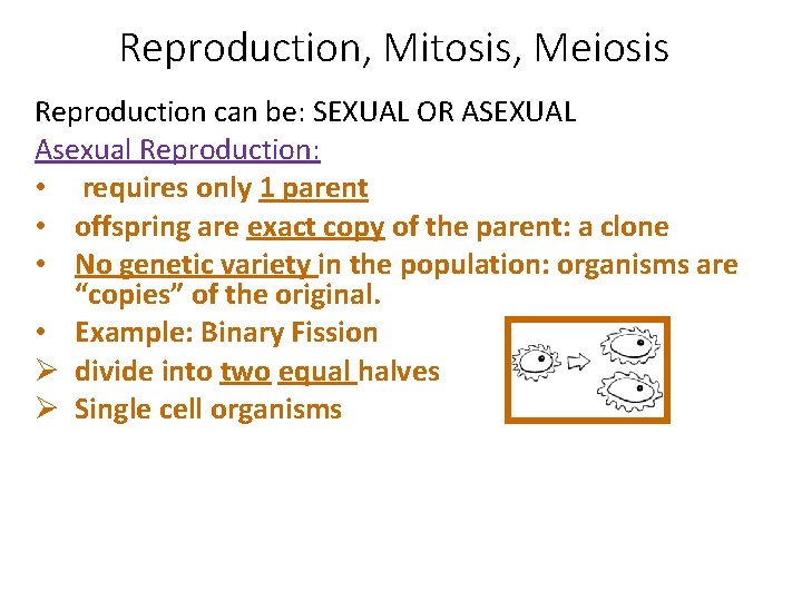 Reproduction, Mitosis, Meiosis Reproduction can be: SEXUAL OR ASEXUAL Asexual Reproduction: • requires only