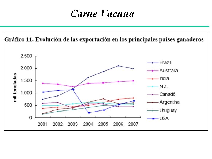 Carne Vacuna 