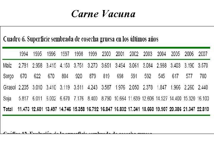 Carne Vacuna 