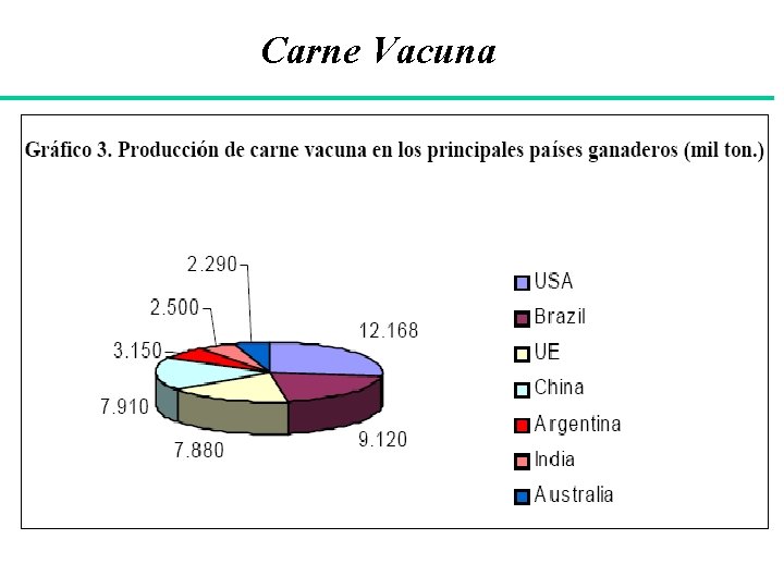 Carne Vacuna 