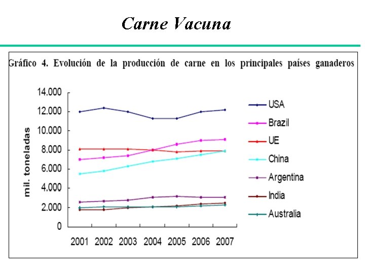 Carne Vacuna 