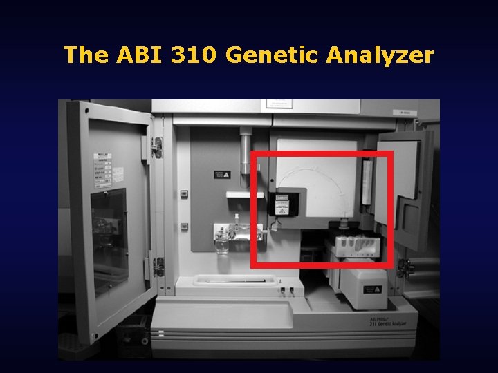 The ABI 310 Genetic Analyzer 