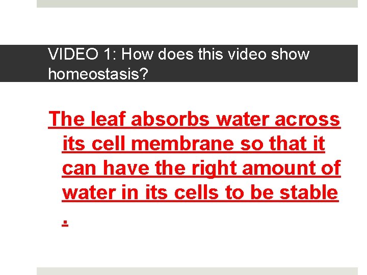 VIDEO 1: How does this video show homeostasis? The leaf absorbs water across its