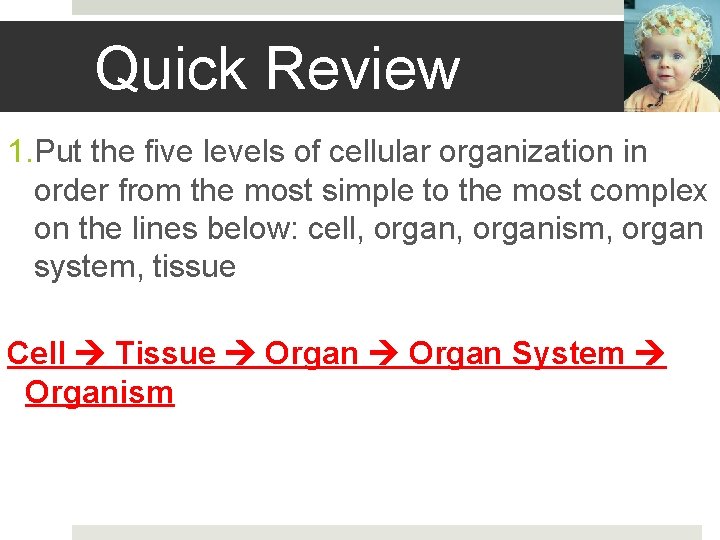 Quick Review 1. Put the five levels of cellular organization in order from the