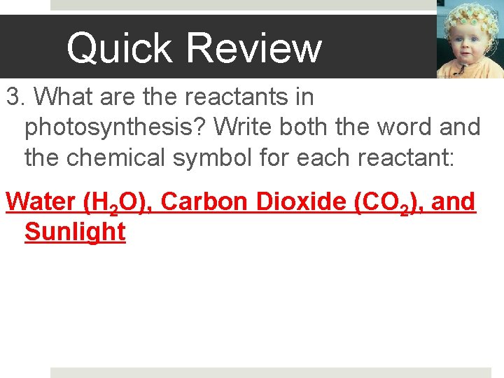 Quick Review 3. What are the reactants in photosynthesis? Write both the word and