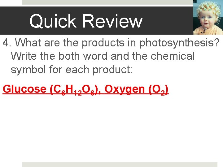 Quick Review 4. What are the products in photosynthesis? Write the both word and