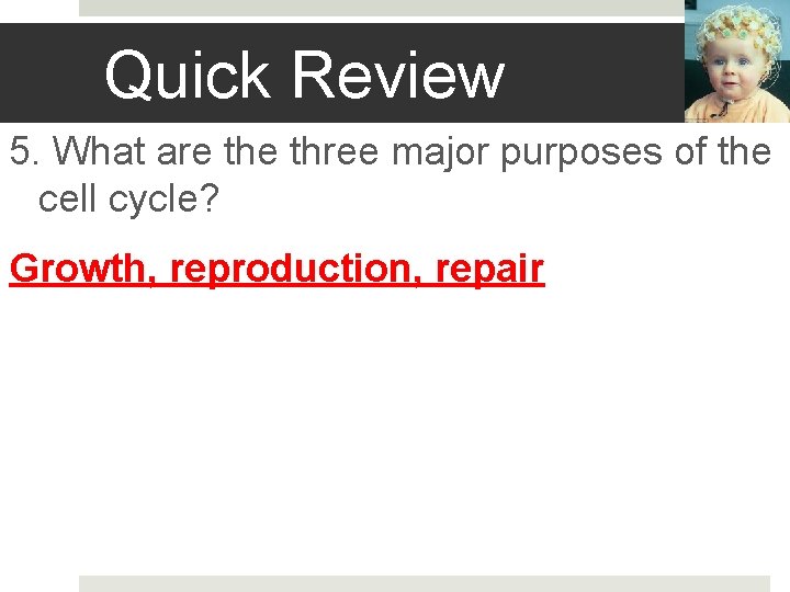 Quick Review 5. What are three major purposes of the cell cycle? Growth, reproduction,