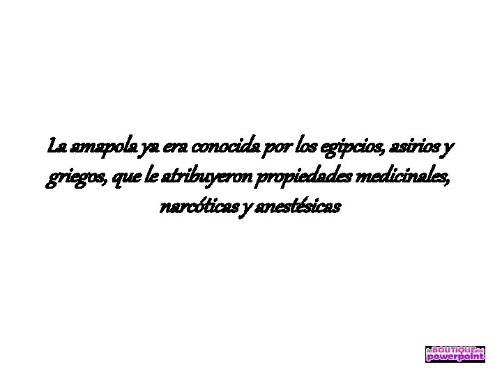 La amapola ya era conocida por los egipcios, asirios y griegos, que le atribuyeron