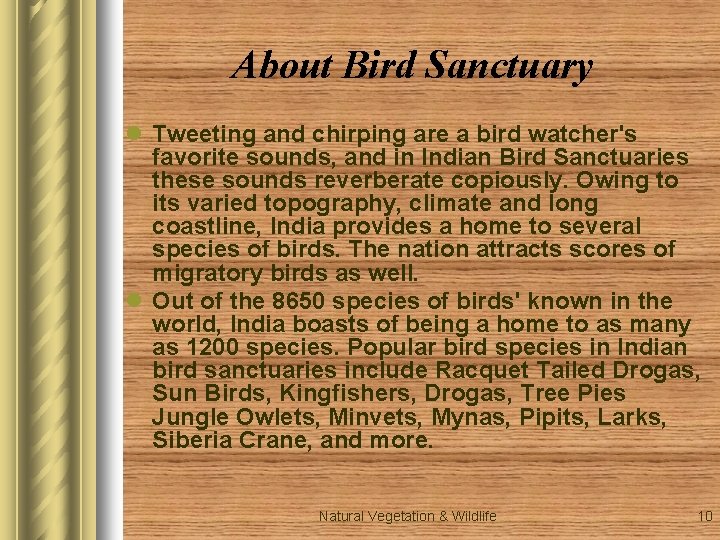 About Bird Sanctuary l Tweeting and chirping are a bird watcher's favorite sounds, and About Bird Sanctuary l Tweeting and chirping are a bird watcher's favorite sounds, and