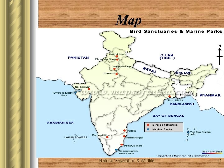 Map Natural Vegetation & Wildlife 11 Map Natural Vegetation & Wildlife 11