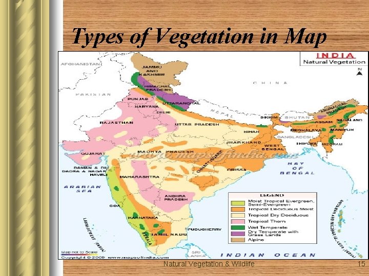 Types of Vegetation in Map Natural Vegetation & Wildlife 15 Types of Vegetation in Map Natural Vegetation & Wildlife 15
