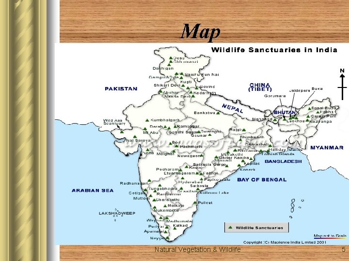 Map Natural Vegetation & Wildlife 5 Map Natural Vegetation & Wildlife 5