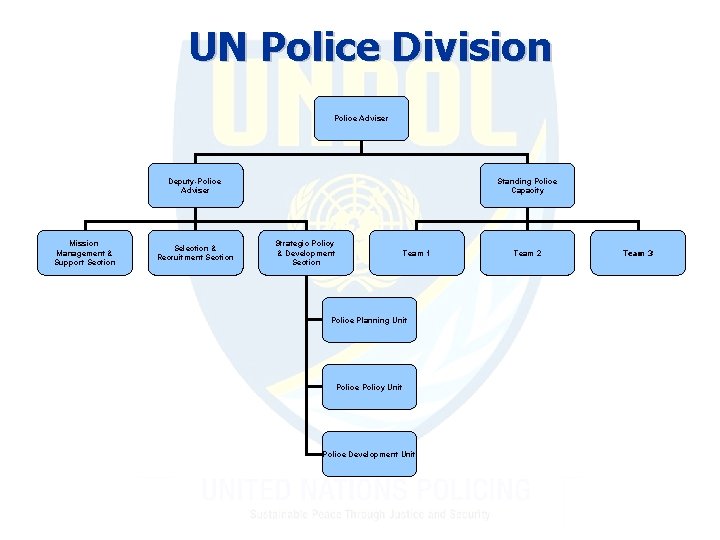 UN Police Division Police Adviser Deputy-Police Adviser Mission Management & Support Section Selection &