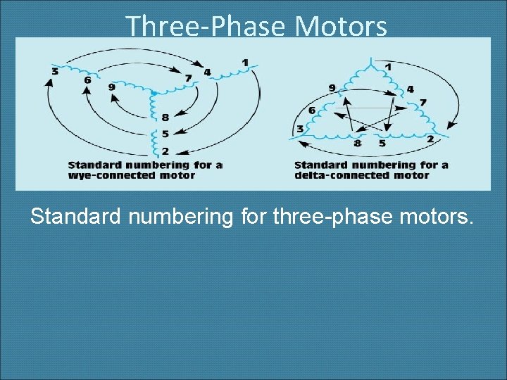 Three-Phase Motors Standard numbering for three-phase motors. 