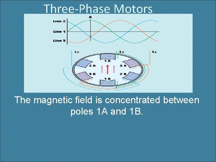 Three-Phase Motors The magnetic field is concentrated between poles 1 A and 1 B.
