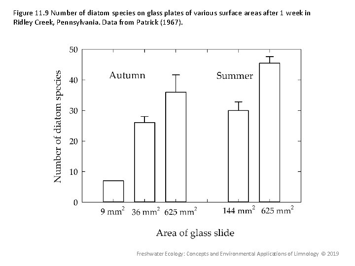 Figure 11. 9 Number of diatom species on glass plates of various surface areas