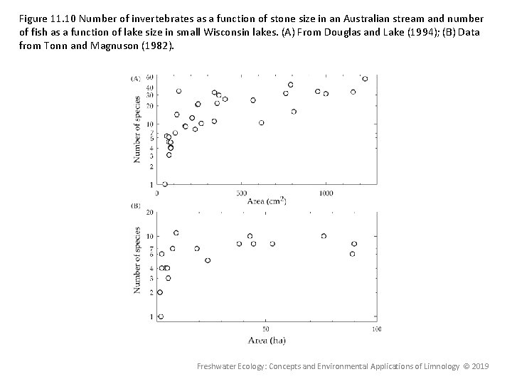 Figure 11. 10 Number of invertebrates as a function of stone size in an