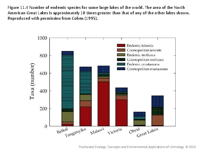 Figure 11. 4 Number of endemic species for some large lakes of the world.