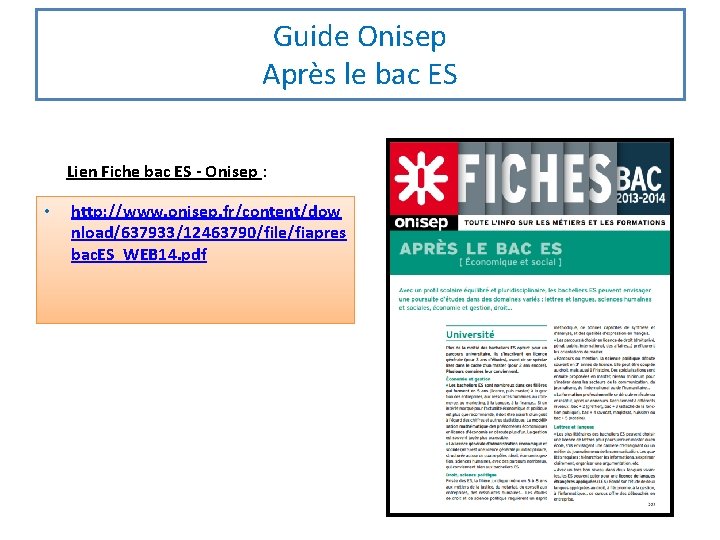 Guide Onisep Après le bac ES Lien Fiche bac ES - Onisep : •