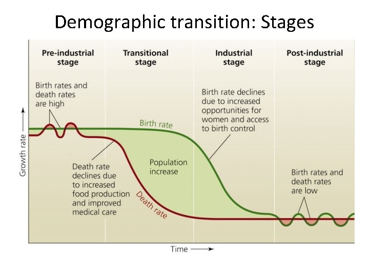 Demographic transition: Stages 