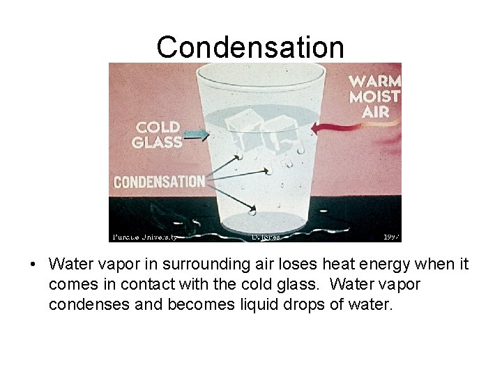 Condensation • Water vapor in surrounding air loses heat energy when it comes in