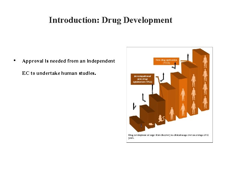 Introduction: Drug Development • Approval is needed from an independent EC to undertake human
