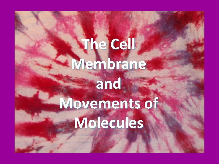 The Cell Membrane and Movements of Molecules 