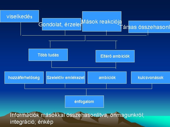 a viselkedés Mások reakciója Gondolat, érzelem Társas összehasonlí Több tudás hozzáférhetőség Eltérő ambíciók Szelektív