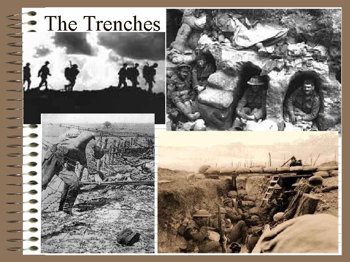 The Trenches 