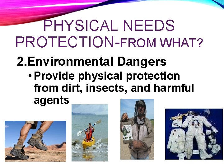 PHYSICAL NEEDS PROTECTION-FROM WHAT? 2. Environmental Dangers • Provide physical protection from dirt, insects,