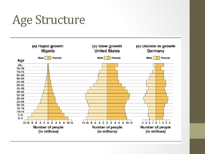 Chapter 5 Populations Section 1 How Populations Grow