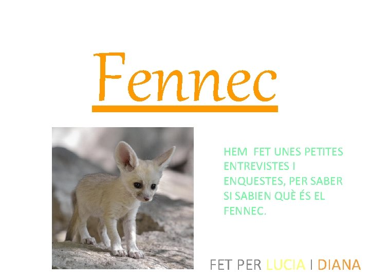 Fennec HEM FET UNES PETITES ENTREVISTES I ENQUESTES, PER SABER SI SABIEN QUÈ ÉS