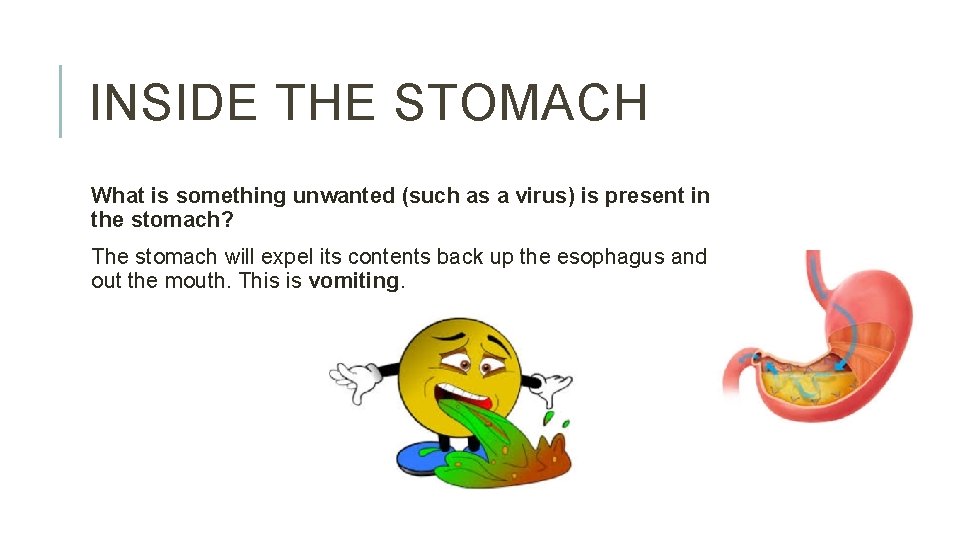 INSIDE THE STOMACH What is something unwanted (such as a virus) is present in
