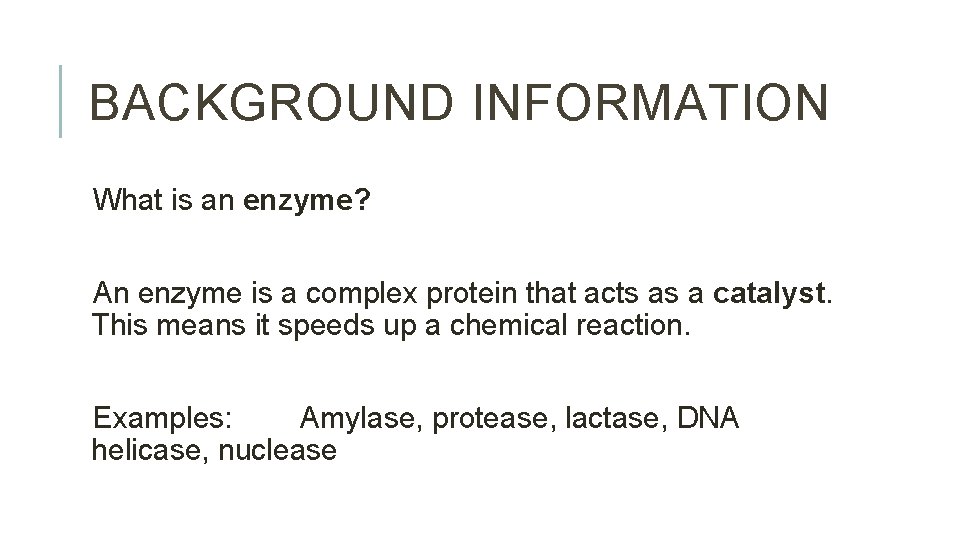 BACKGROUND INFORMATION What is an enzyme? An enzyme is a complex protein that acts
