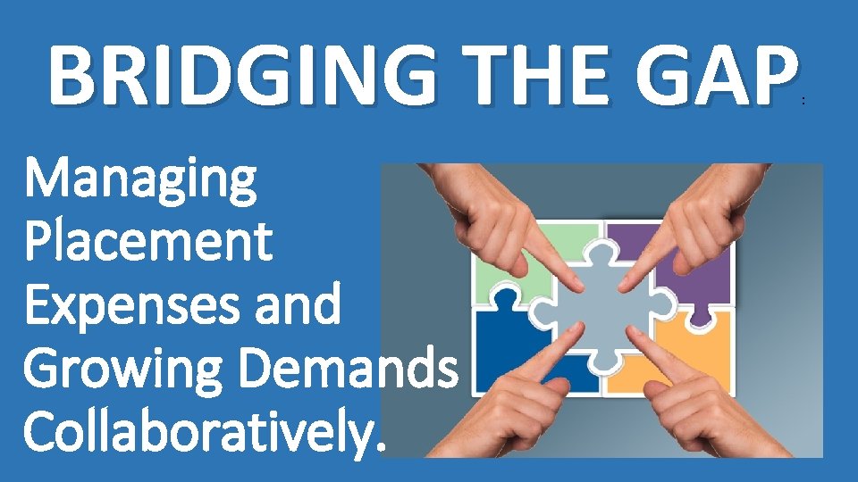 BRIDGING THE GAP : Managing Placement Expenses and Growing Demands Collaboratively. 