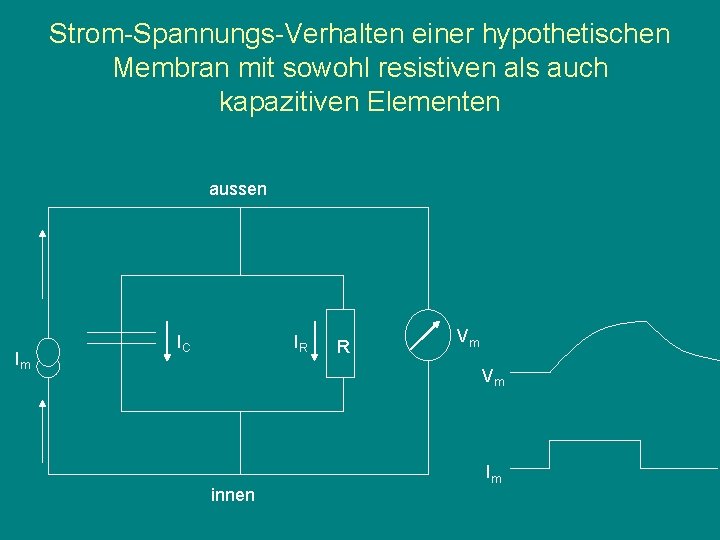 Strom-Spannungs-Verhalten einer hypothetischen Membran mit sowohl resistiven als auch kapazitiven Elementen aussen Im IC