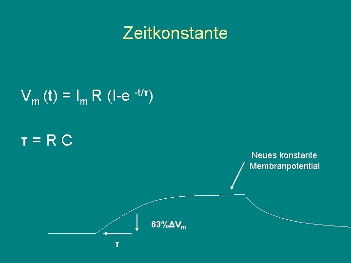 Zeitkonstante Vm (t) = Im R (I-e -t/τ) τ=RC Neues konstante Membranpotential 63%ΔVm τ