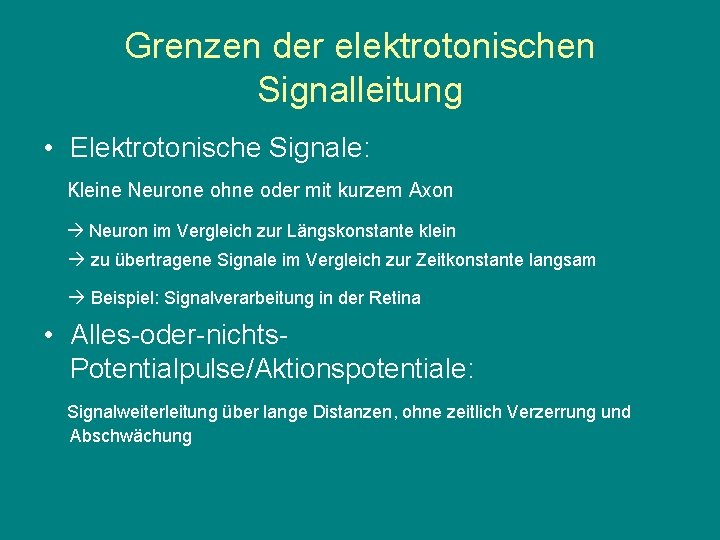 Grenzen der elektrotonischen Signalleitung • Elektrotonische Signale: Kleine Neurone ohne oder mit kurzem Axon