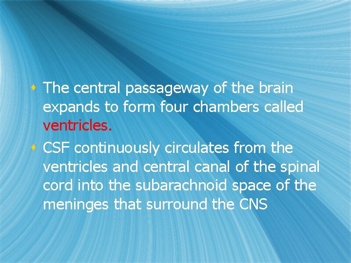 s The central passageway of the brain expands to form four chambers called ventricles. s The central passageway of the brain expands to form four chambers called ventricles.