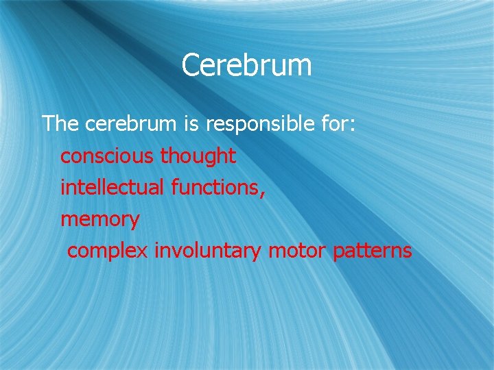 Cerebrum The cerebrum is responsible for: conscious thought intellectual functions, memory complex involuntary motor Cerebrum The cerebrum is responsible for: conscious thought intellectual functions, memory complex involuntary motor