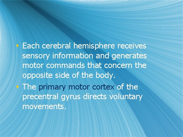 s Each cerebral hemisphere receives sensory information and generates motor commands that concern the s Each cerebral hemisphere receives sensory information and generates motor commands that concern the