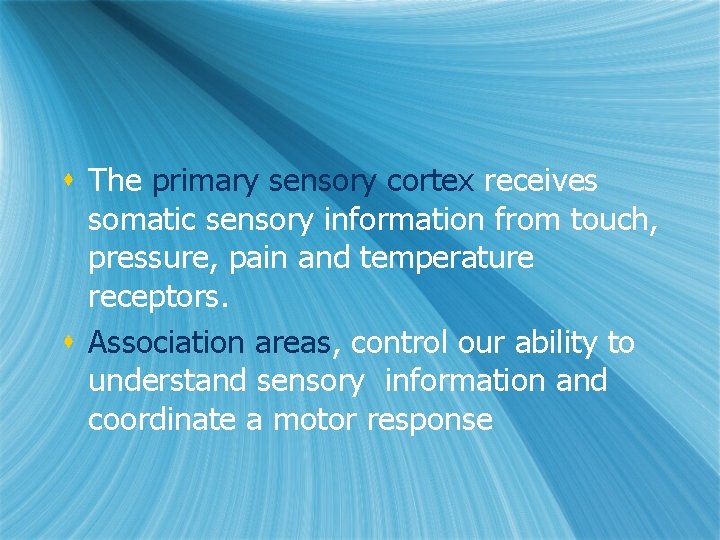 s The primary sensory cortex receives somatic sensory information from touch, pressure, pain and s The primary sensory cortex receives somatic sensory information from touch, pressure, pain and